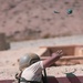 MCAGCC Trains U.S. Allies as Warfighters