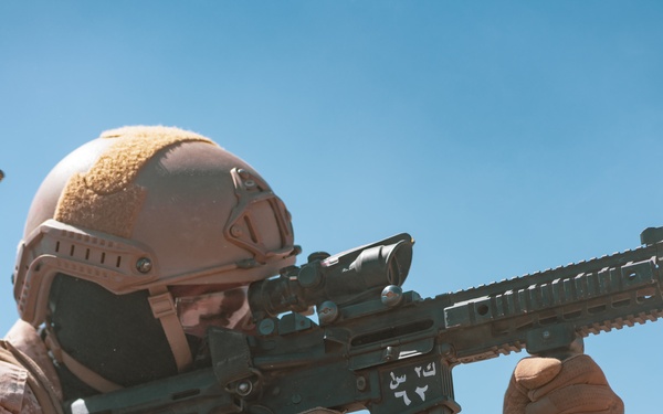 MCAGCC Trains U.S. Allies as Warfighters