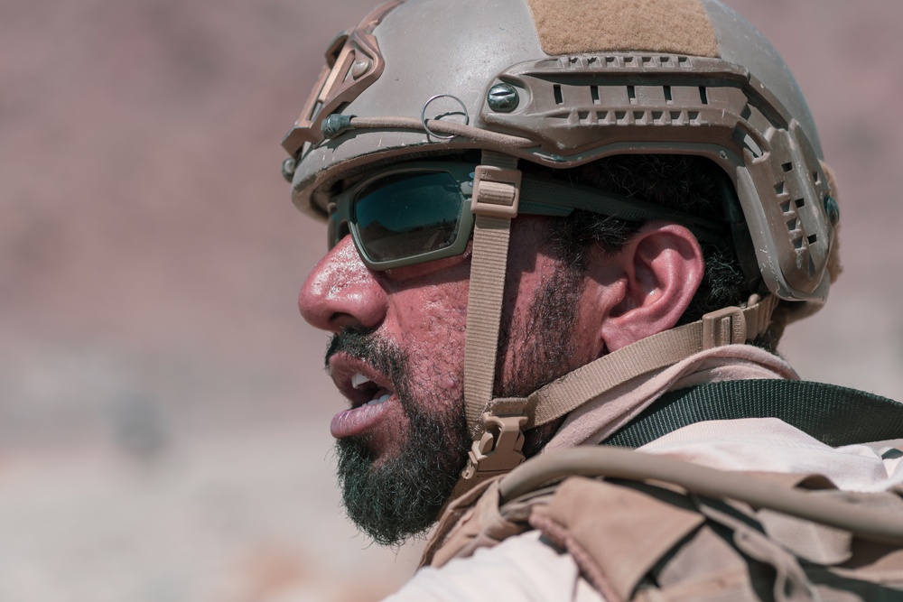 MCAGCC Trains U.S. Allies as Warfighters