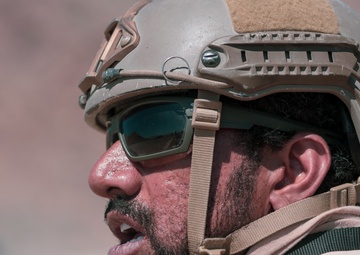 MCAGCC Trains U.S. Allies as Warfighters