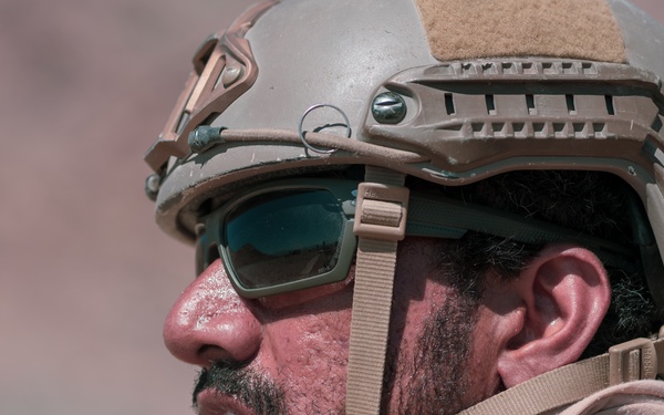 MCAGCC Trains U.S. Allies as Warfighters