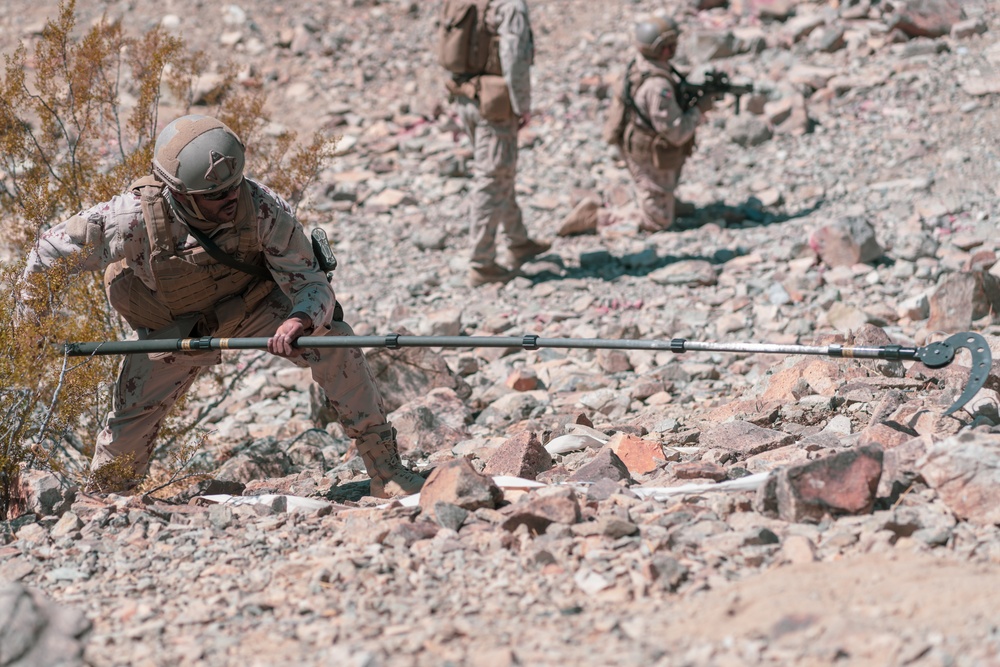 MCAGCC Trains U.S. Allies as Warfighters