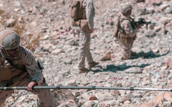 MCAGCC Trains U.S. Allies as Warfighters