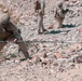 MCAGCC Trains U.S. Allies as Warfighters
