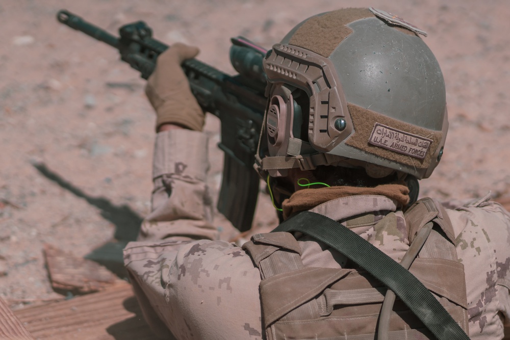 MCAGCC Trains U.S. Allies as Warfighters