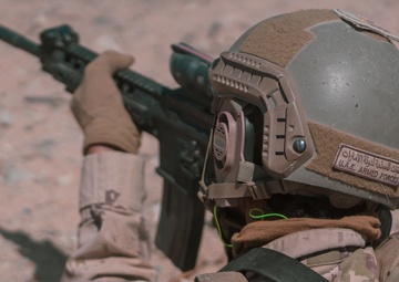 MCAGCC Trains U.S. Allies as Warfighters