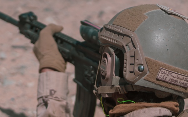 MCAGCC Trains U.S. Allies as Warfighters