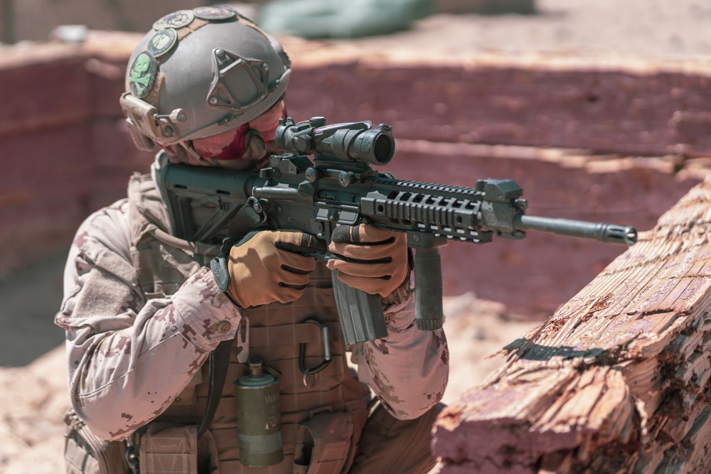 MCAGCC Trains U.S. Allies as Warfighters