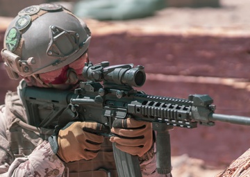 MCAGCC Trains U.S. Allies as Warfighters