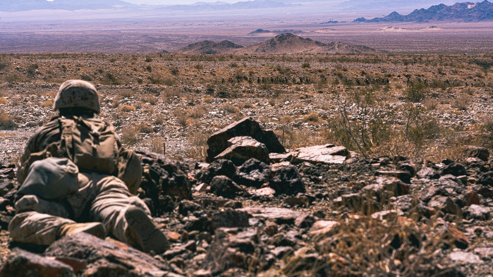 United Arab Emirates Soldiers train at Range 400 with U.S. Marines