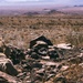 United Arab Emirates Soldiers train at Range 400 with U.S. Marines