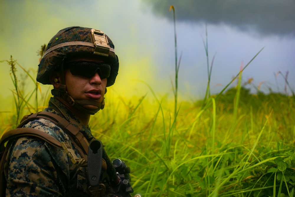 Tiger Strike 2019 Amphibios Assault