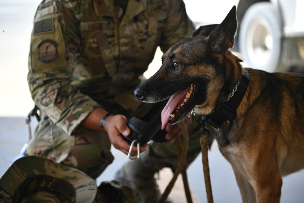 U.S. Airmen, Sailors, Soldiers, team up for joint MEDEVAC exercise