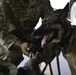 U.S. Airmen, Sailors, Soldiers, team up for joint MEDEVAC exercise