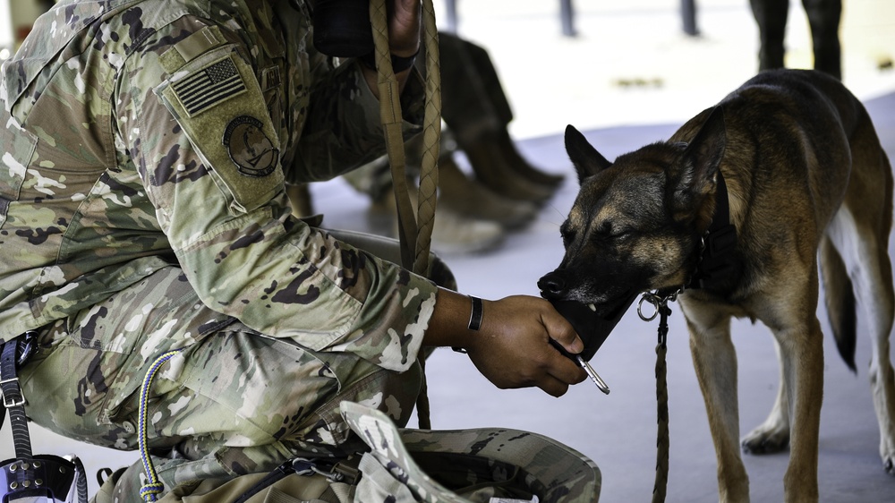 U.S. Airmen, Sailors, Soldiers, team up for joint MEDEVAC exercise