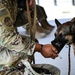 U.S. Airmen, Sailors, Soldiers, team up for joint MEDEVAC exercise