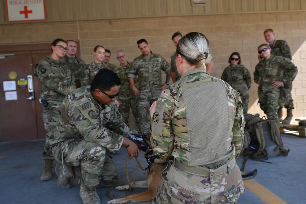 U.S. Airmen, Sailors, Soldiers, team up for joint MEDEVAC exercise