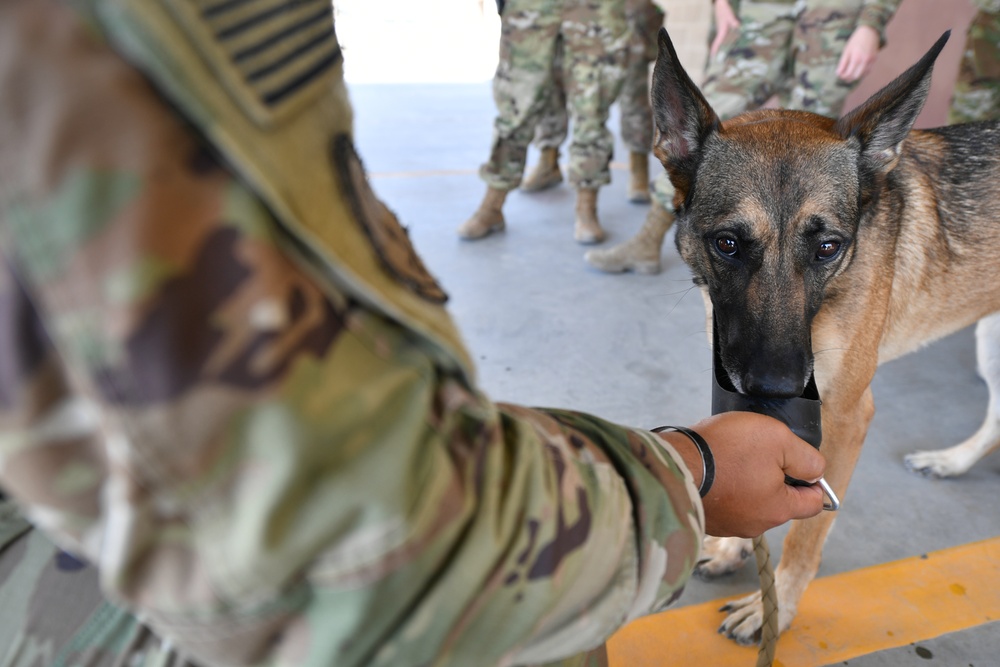 U.S. Airmen, Sailors, Soldiers, team up for joint MEDEVAC exercise