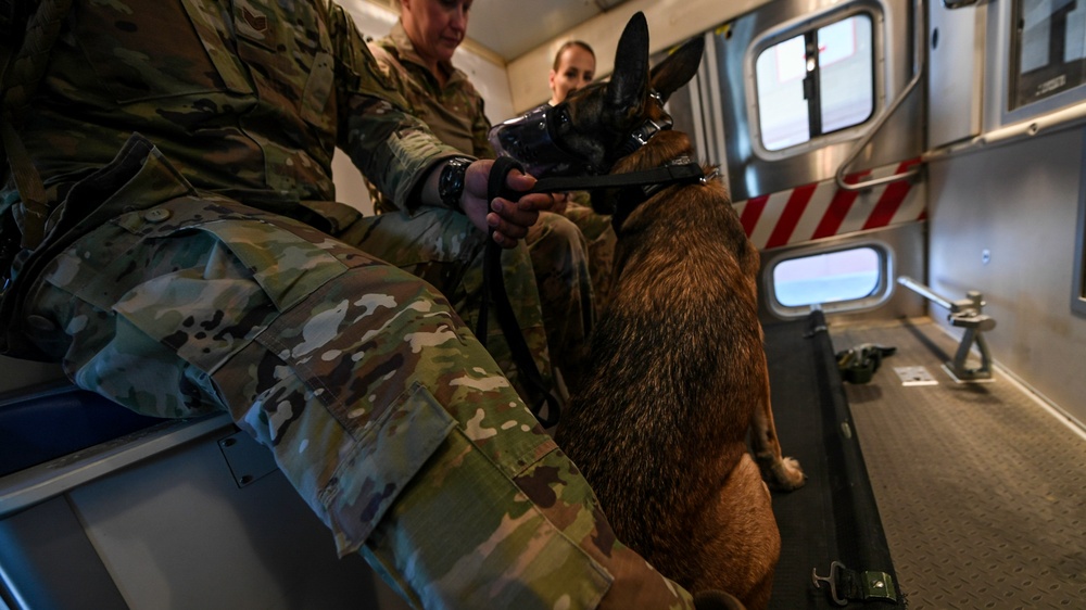 U.S. Airmen, Sailors, Soldiers, team up for joint MEDEVAC exercise