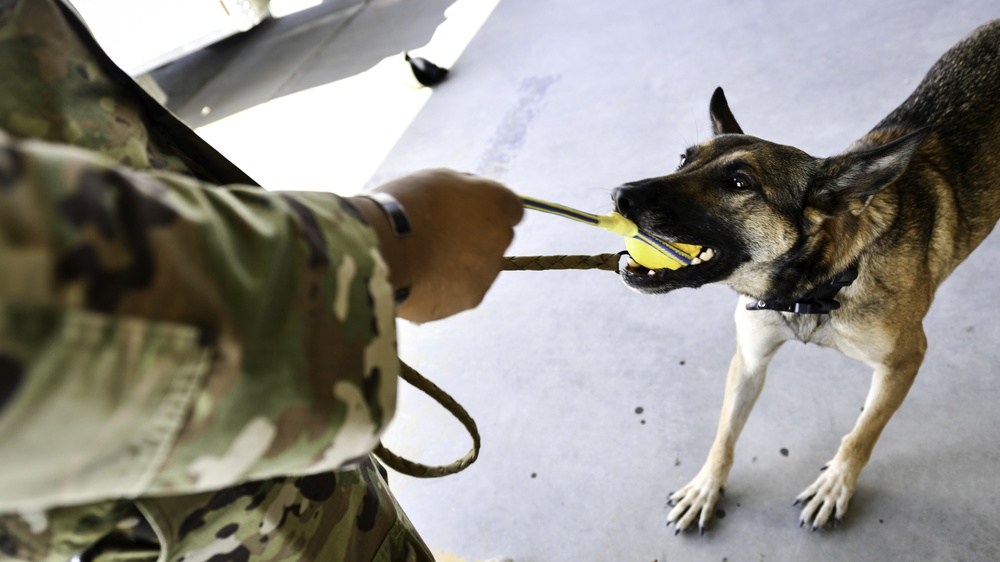 U.S. Airmen, Sailors, Soldiers, team up for joint MEDEVAC exercise