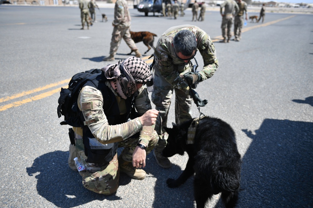 U.S. Airmen, Sailors, Soldiers, team up for joint MEDEVAC exercise