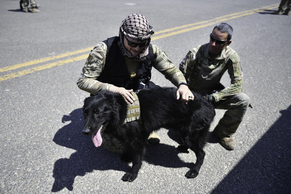 U.S. Airmen, Sailors, Soldiers, team up for joint MEDEVAC exercise