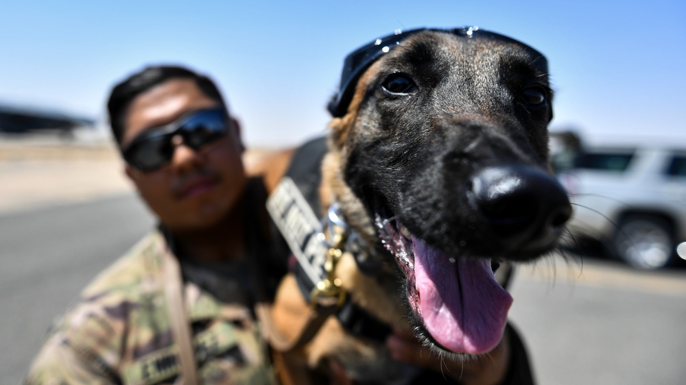 U.S. Airmen, Sailors, Soldiers, team up for joint MEDEVAC exercise