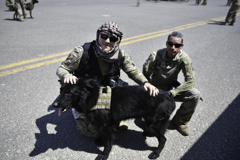 U.S. Airmen, Sailors, Soldiers, team up for joint MEDEVAC exercise