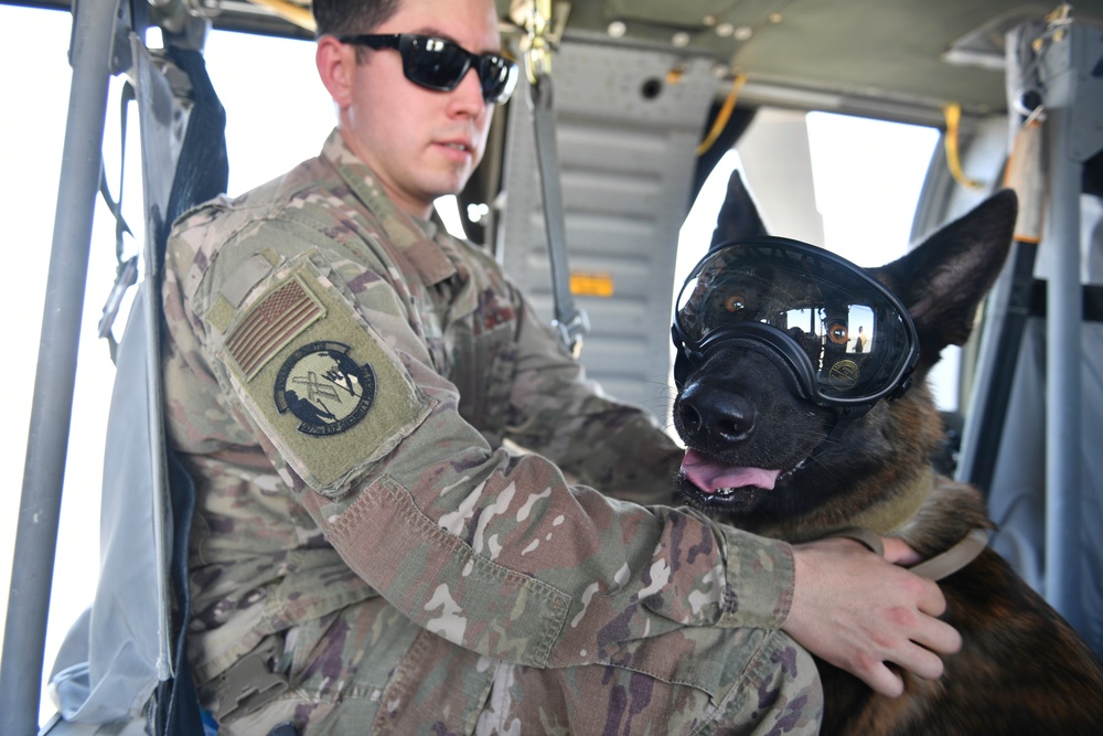 U.S. Airmen, Sailors, Soldiers, team up for joint MEDEVAC exercise