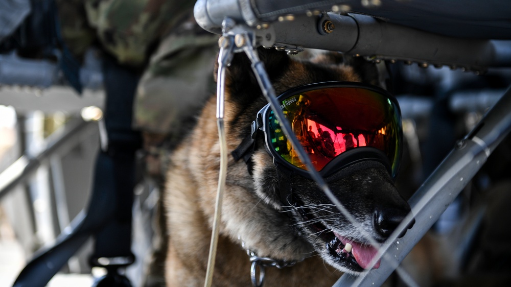 U.S. Airmen, Sailors, Soldiers, team up for joint MEDEVAC exercise