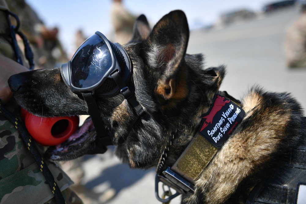 U.S. Airmen, Sailors, Soldiers, team up for joint MEDEVAC exercise