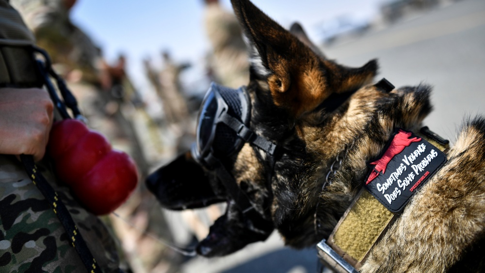 U.S. Airmen, Sailors, Soldiers, team up for joint MEDEVAC exercise