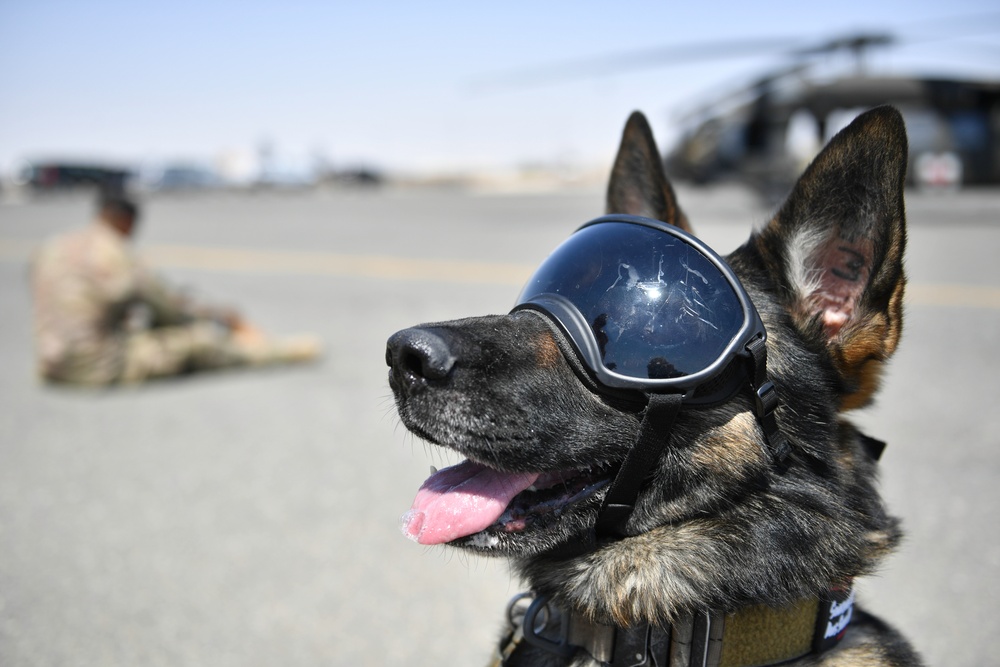 U.S. Airmen, Sailors, Soldiers, team up for joint MEDEVAC exercise