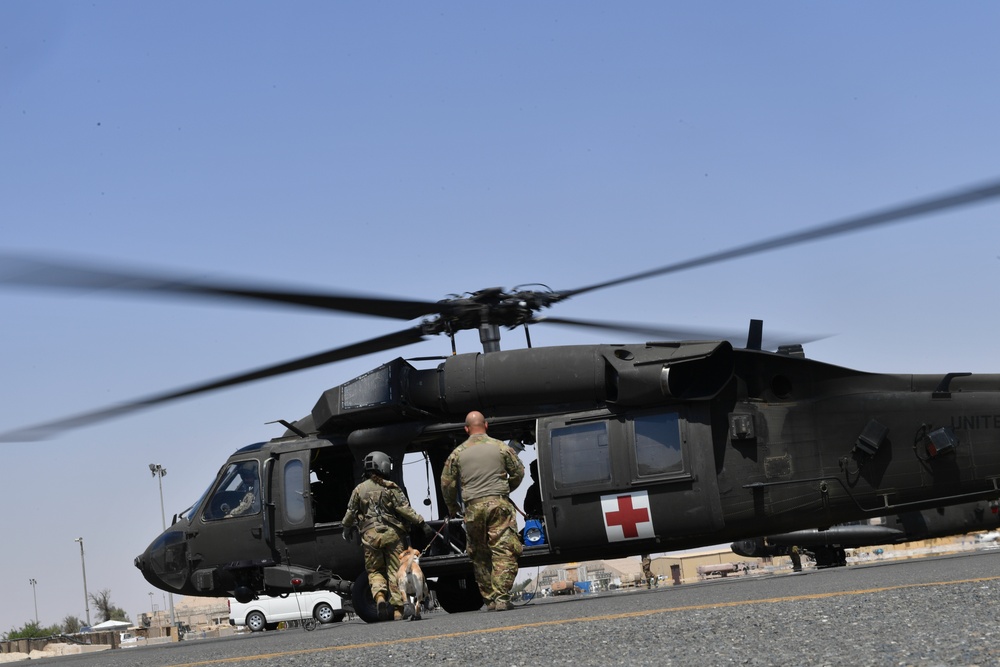 U.S. Airmen, Sailors, Soldiers, team up for joint MEDEVAC exercise