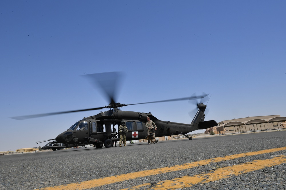 U.S. Airmen, Sailors, Soldiers, team up for joint MEDEVAC exercise