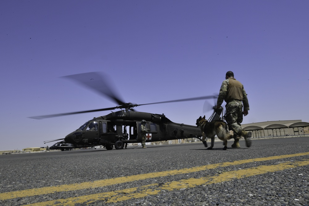 U.S. Airmen, Sailors, Soldiers, team up for joint MEDEVAC exercise