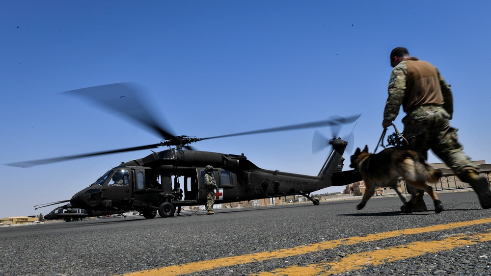 U.S. Airmen, Sailors, Soldiers, team up for joint MEDEVAC exercise