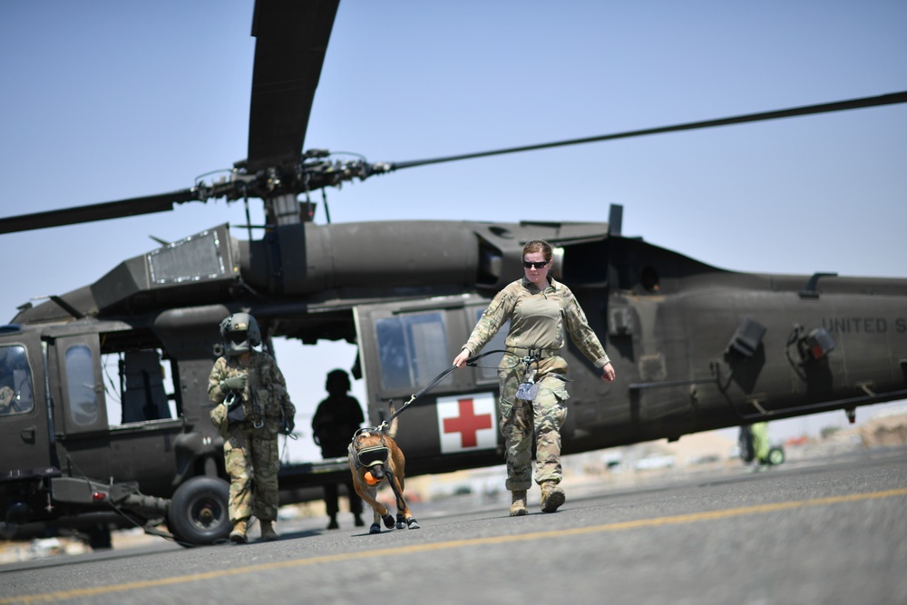 U.S. Airmen, Sailors, Soldiers, team up for joint MEDEVAC exercise