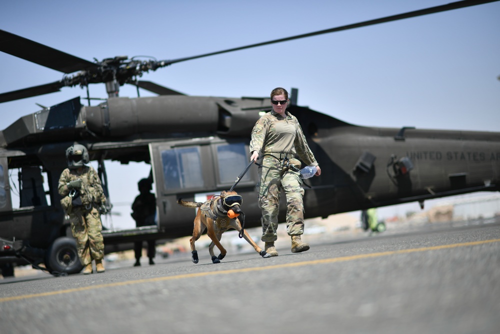 U.S. Airmen, Sailors, Soldiers, team up for joint MEDEVAC exercise