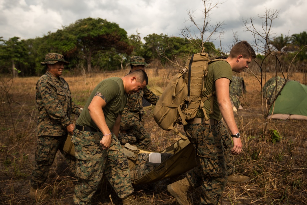 U.S. Marines, Sailors with 3rd Marine Division and the MAF participate in a Simulated Casualty Evacuation Drill