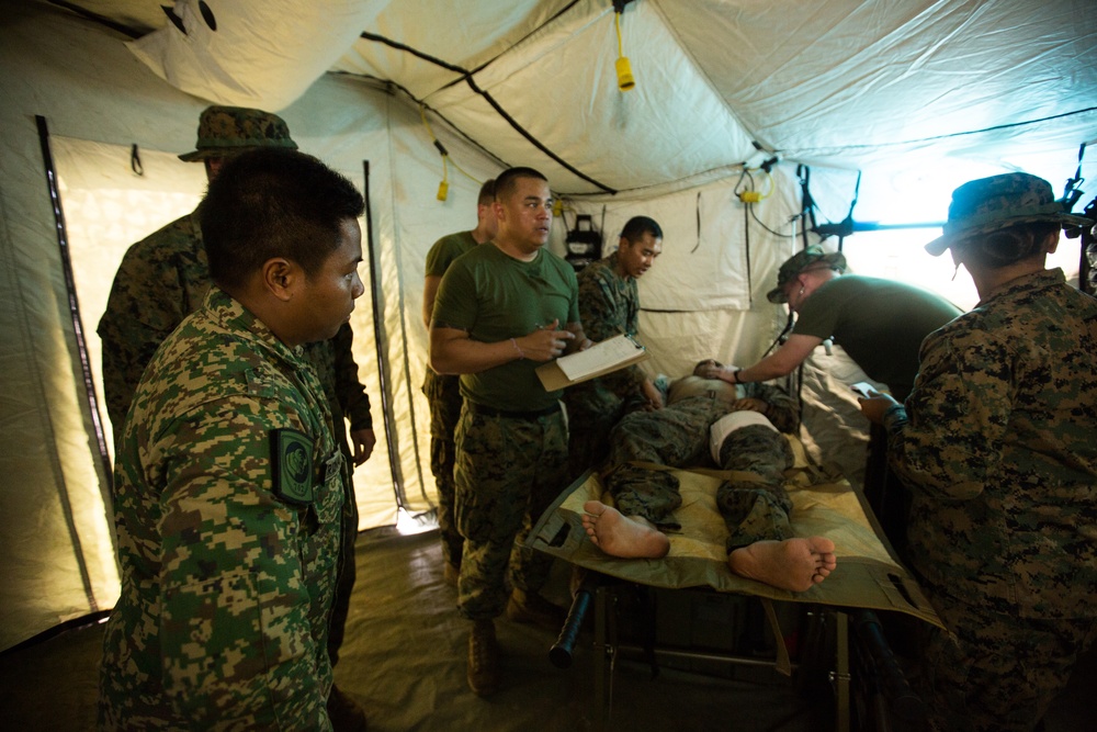 U.S. Marines, Sailors with 3rd Marine Division and the MAF participate in a Simulated Casualty Evacuation Drill