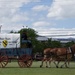 1st Cavalry Division Spirit of the CAV week