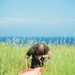 Marines conduct air delivery training on Ie Shima Island