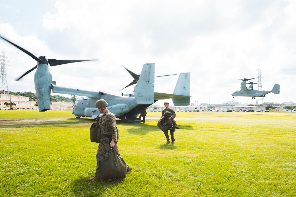 Marines conduct air delivery training on Ie Shima Island