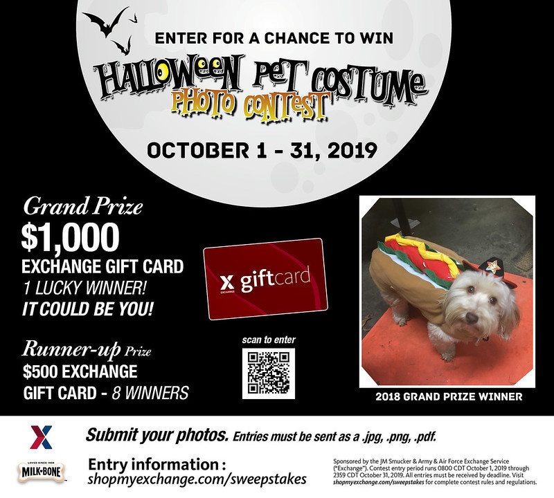 Exchange Seeks Best Pet Costumes in Halloween Photo Contest
