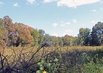 Mattawoman Creek Mitigation Bank Site Visit