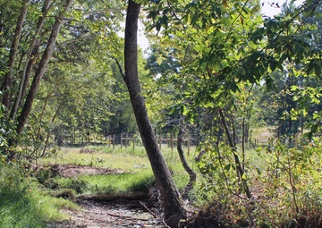 Mattawoman Creek Mitigation Bank Site Visit