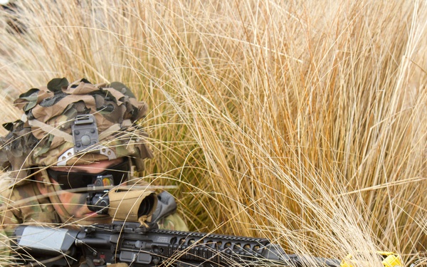 25th ID Soldiers train in Exercise Phantom Major 19