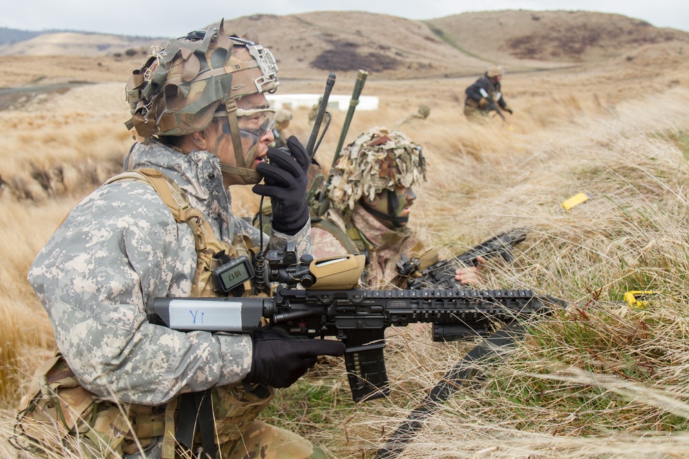 25th ID Soldiers train in Exercise Phantom Major 19