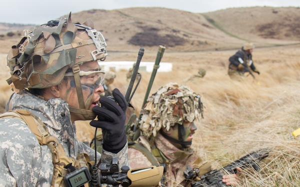 25th ID Soldiers train in Exercise Phantom Major 19
